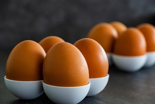 posisi meletakkan telur