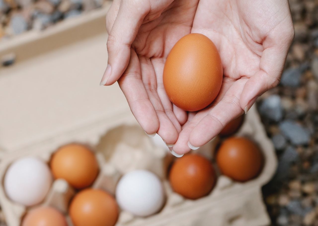 cara simpan telur