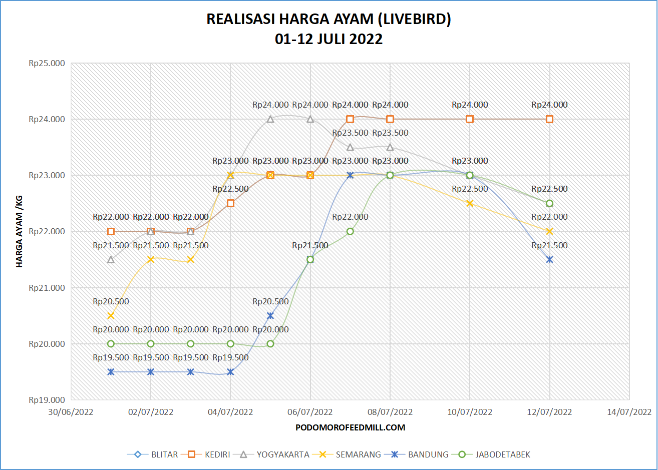 Grafik harga ayam ras