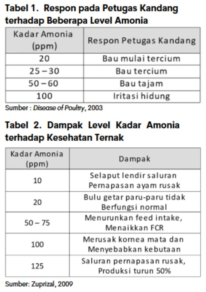 cara mengukur amonia kandang 