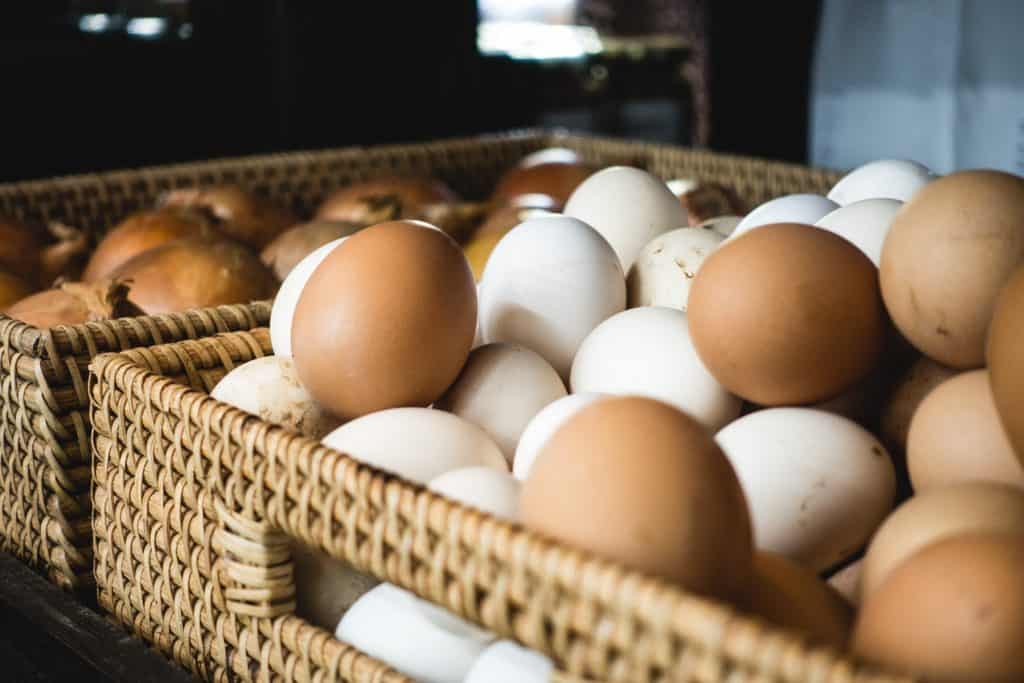 Waspada Telur Busuk, Pilih Telur Segar
